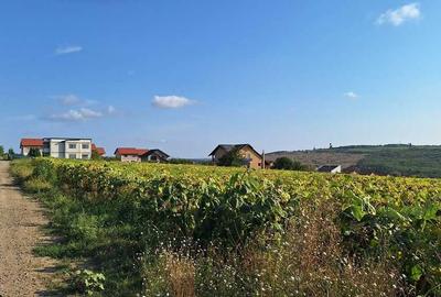 Spațiu comercial, în Valea Lupului - 4