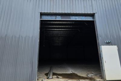 Hale Industriale | DN2 | Afumati-Doraly Expo - 2