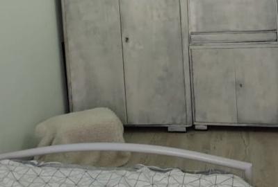 Apartament cu 3 camere semidecomandat în Micălaca - 1