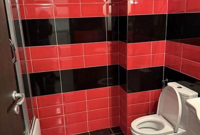 Apartament cu 2 camere în Roșu - 8
