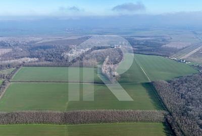 Teren langa Manastirea Sfantul Nicolae Sitaru - 7