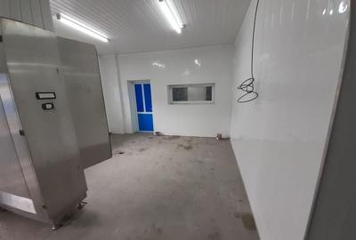Hala - flux DSV - domeniu alimentar - productie sau catering - 1