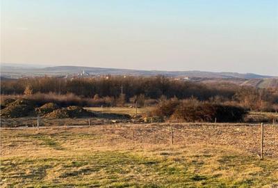 RECO Teren intravilan in Saldabagiu De Munte 2000mp - 5