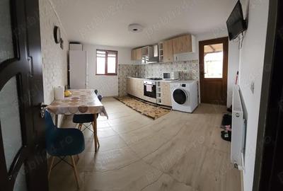 Casă cu 3 camere în Braniștea - 10