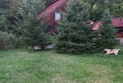 Izvoarele, Prahova - 5