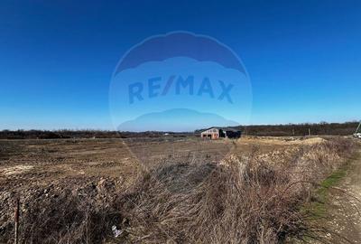 Teren agricol intravilan de 525 mp, în Sânmartin - 1