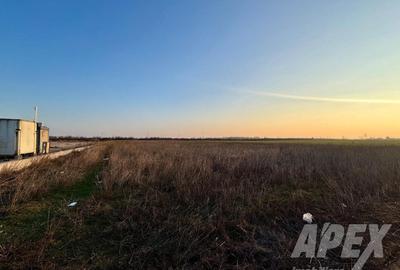 Teren industrial 16300mp | 60X275M | Centura Bucuresti - 6