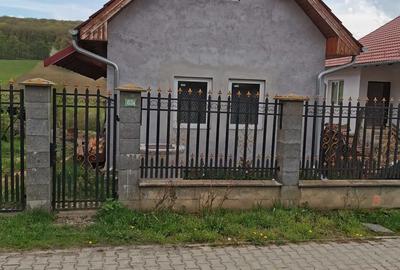 Casă cu 2 camere în Central - 5