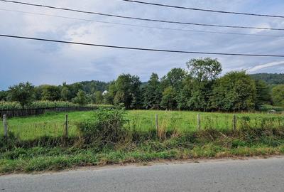 Teren de 3960 mp, în Băiculești - 1