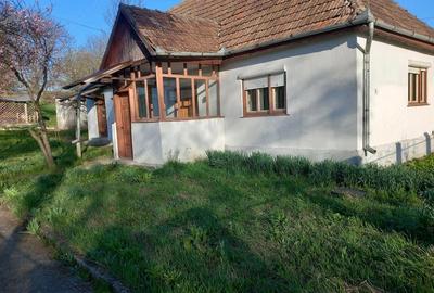 Casă cu 2 camere cu Teren 2100 Mp în Bichiș - 10