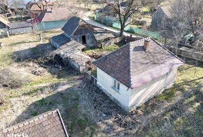 Casă cu 2 camere cu Teren 1605 Mp în Boroșneu Mare - 3