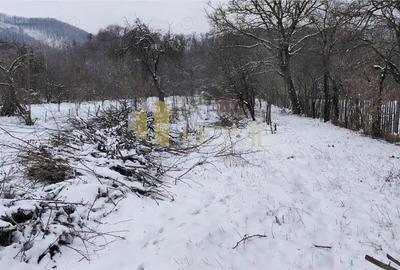 Casă cu Teren 3300 Mp în Poiana - 2