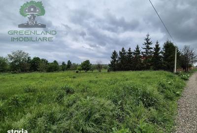 Teren de 1050 mp, în Ciurea - 3