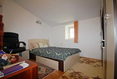 Casa La Tara  - 2700MP - Tichilesti Constanta - Vita De Vie - Pomi Fructiferi - 13