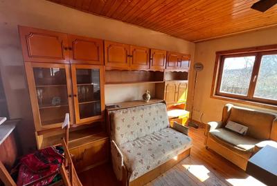 Cabana lemn pentru relocare (fara teren) - 8