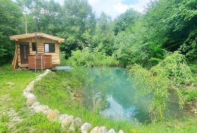 Casa de vacanta superba cu lac Rasnov-Glejerie - 7