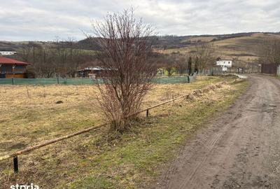 Teren de 1200 mp, în Borhanci - 1