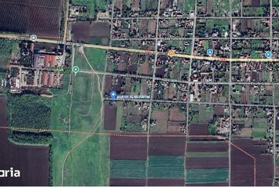 Casă cu 3 camere cu Teren 3803 Mp în Cobadin - 6