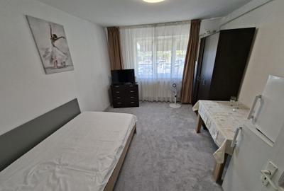 Garsonieră decomandată, mobilată în Podu Roș - 2