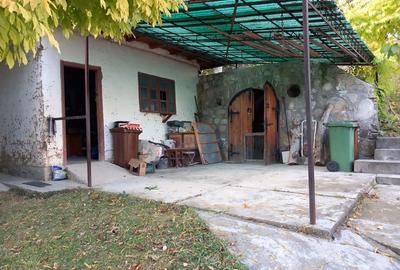 Casă cu 7 camere cu Teren 2200 Mp în Cerașu - 7