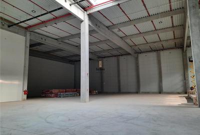 Spatiu Industrial - 1500 mp - Logistica - Productie - Depozitare - 2