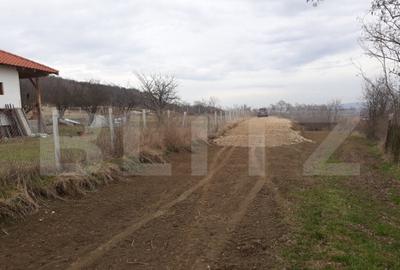 Teren Intravilan cu potential ridicat, 2535mp, Turda, zona c - 3