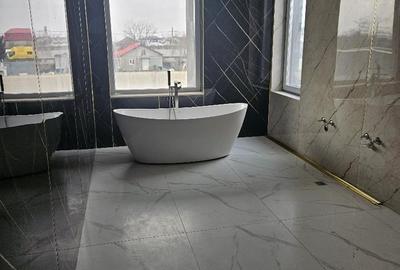 Casă cu 4 camere cu Teren 1054 Mp în Bălăceanca - 8