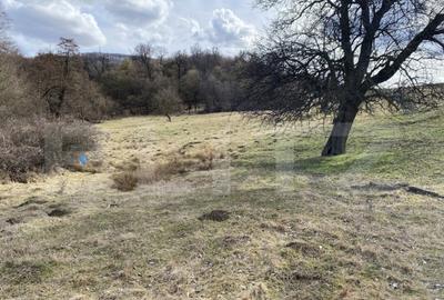 Teren extravilan in suprafata de 7500 mp la poalele Mesesulu - 3