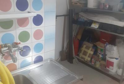 Decebal.Dristorului,vila cu 3 cam,subsol parter,et.1+mansarda,centrala,mobilata - 12