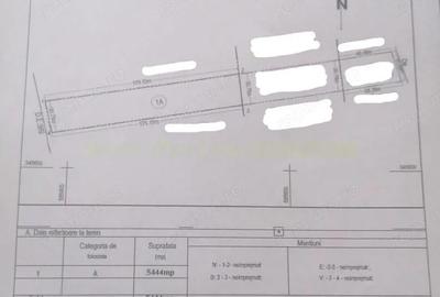 Teren de 5444 mp, în Săftica - 1