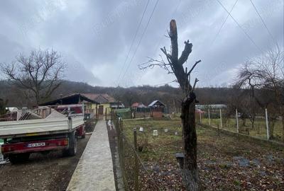 Casă cu 2 camere în Pestișu Mic - 5