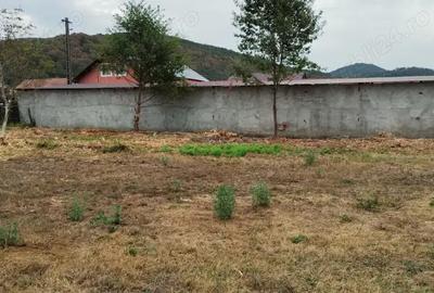 Spațiu comercial, de 930 mp, în Surduc - 1