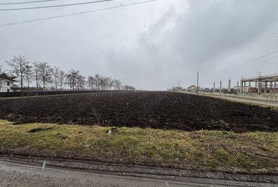 Teren de 15000 mp, în Saucenița - 1
