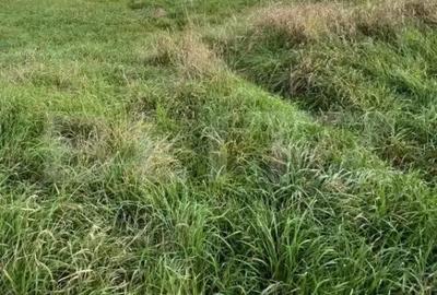 Teren de 2400 mp, în Central - 6