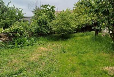 Casa batraneasca solida in zona semicentrala foarte linistita Casa batraneasca solida in zona semicentrala foarte linistita - 9