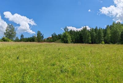 2,2 HA TEREN EXTRAVILAN FANEATA, Muntii Apuseni, Ciucea - Cluj, la 5 km de E60 - 5