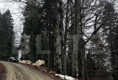 Teren unic, exclusivist 4000 mp, in inima muntilor, Sinaia - 5