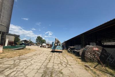 Proprietate industriala - Tg. Jiu - teren + hala + birouri - 9