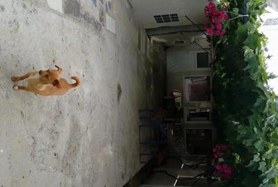 Casă cu 6 camere în Eforie - 7