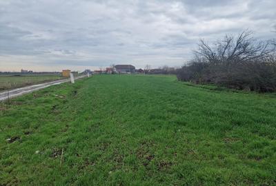 Teren Construcții intravilan de 1000 mp, în Exterior Est - 6