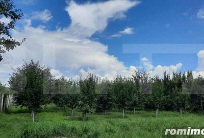 Casa individuala, 268 mp utili, 2145 teren, livada, Turda - 2