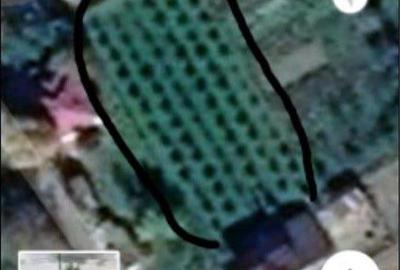 Teren de 1500 mp, în Băiculești