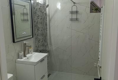 Garsonieră decomandată în Craiovița Nouă - 6