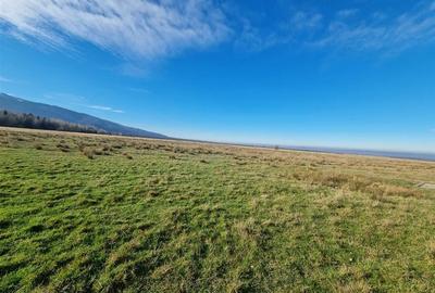 Teren de vanzare in satul de vacanta Dejani - 12