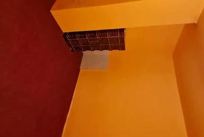 Casă cu 3 camere cu Teren 28 Mp în Sălacea - 5