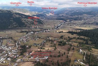Teren de 7869 mp, în Dorna-Arini - 2