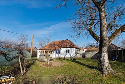 FILM! Casa cu sura, pivnita, balta cu pesti, 2.280 mp teren - 1