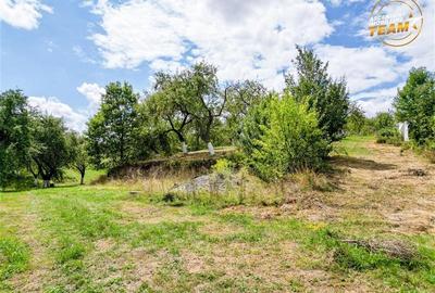 Teren Construcții extravilan de 4500 mp, în Sâncraiu - 4