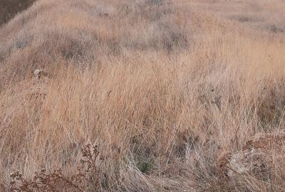 Teren de 1200 mp, în Popoveni - 3