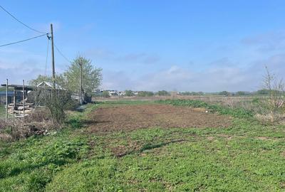 Teren TUNARI  600 mp - 5